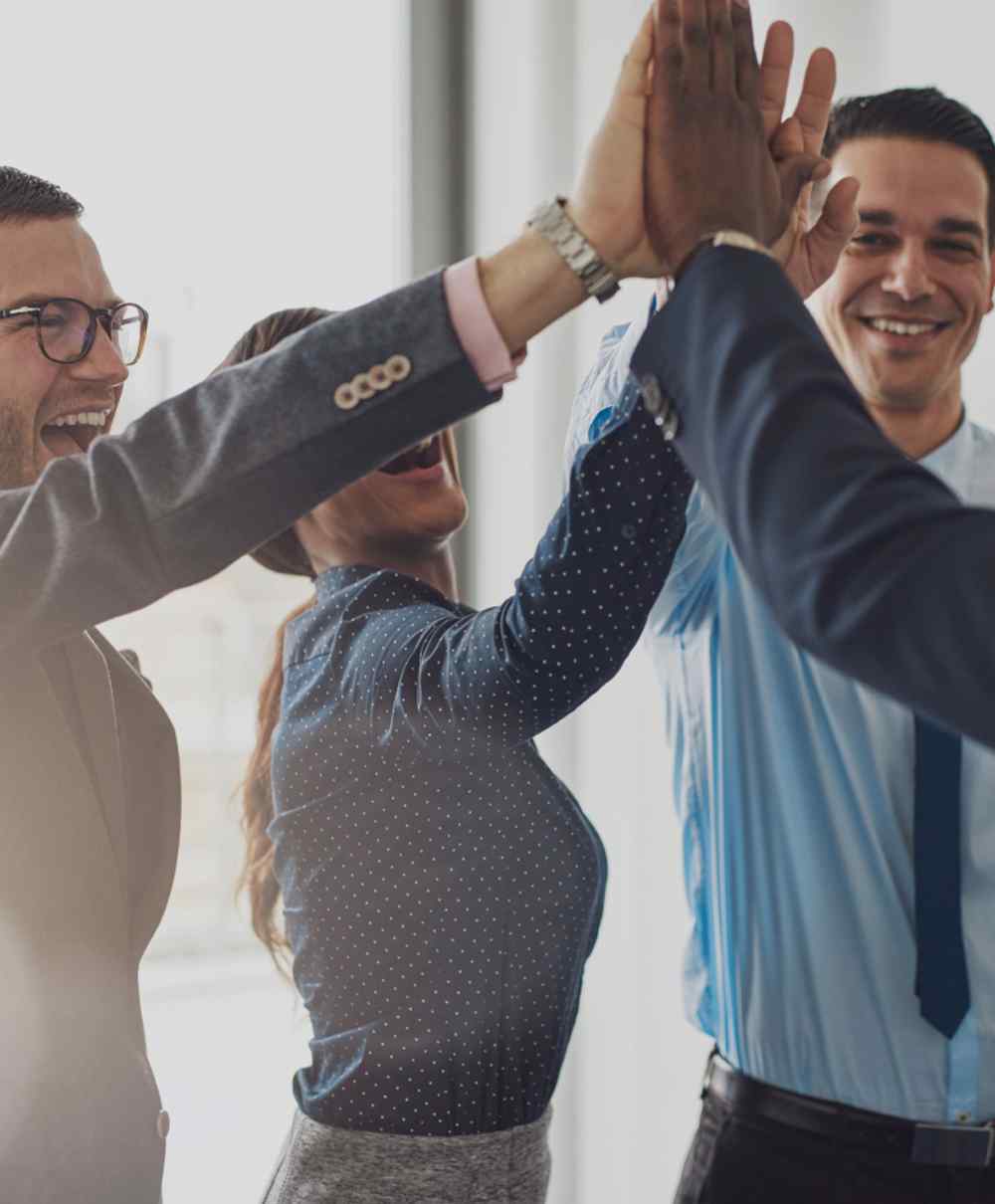 image_inner_01 https://marklbaum.com/wp-content/uploads/2024/05/image_inner_01.jpg